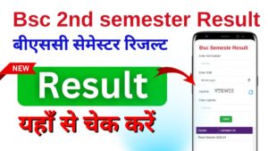 Bsc 2nd semester Result 2024