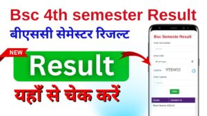 Bsc 4th semester Result 2024