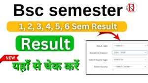 Bsc semester Result 2024