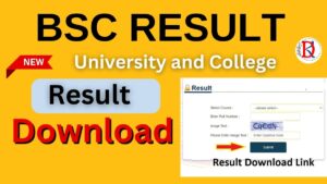 Bsc Result 2024