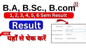 B.A, B.sc, B.com Sem wise Result 2024 Downlod Link