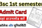 Bsc 1st semester Admit Card 2026