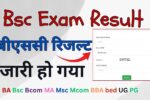 Bsc Exam Result