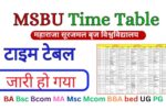 MSBU Time Table