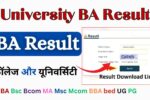 University BA Result