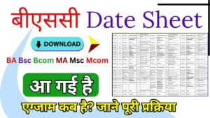 Bsc Date Sheet 2025