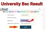 University Bsc Result