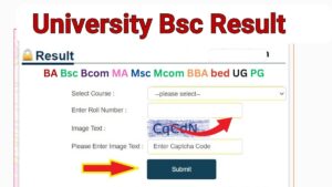 University Bsc Result