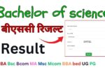 Bachelor of science Result