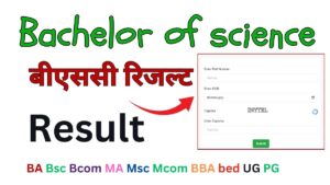 Bachelor of science Result