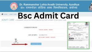 Avadh University Bsc Admit Card