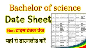 Bachelor of science Date Sheet 2025