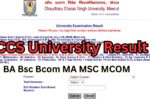 CCS University Result 2024