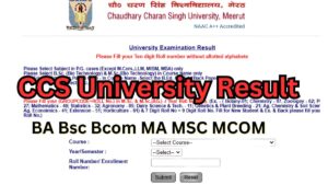 CCS University Result 2024