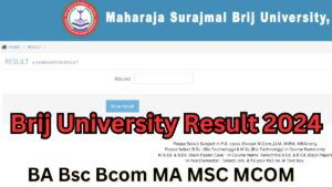 Brij University Result 2024