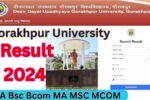 DDU Result 2024