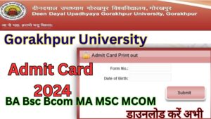 DDU Admit Card 2024