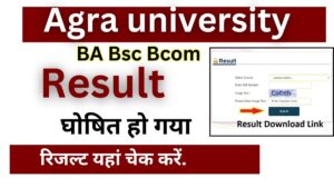 Agra university Result 