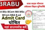 BRABU Admit Card 2025