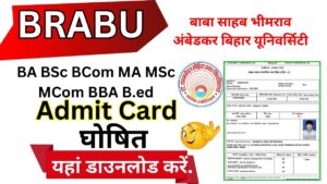 BRABU Admit Card 2025