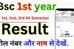 Bsc 1st year Result