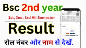 Bsc 2nd year Result