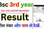 Bsc 3rd year Result