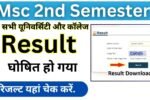 Msc 2nd semester Result