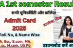 BA 1st semester Result 2025