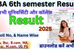 BA 6th semester Result 2025