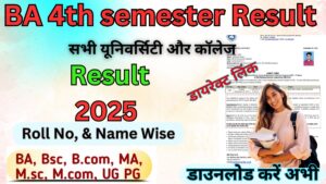 BA 4th semester Result 2025