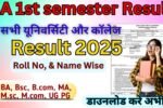 BA 1st semester Result 2025