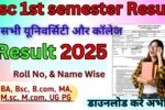 Bsc 1st semester Result 2025