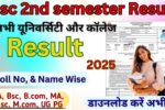 Bsc 2nd semester Result 2025