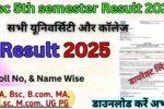 Bsc 5th semester Result 2025