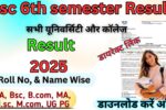 Bsc 6th semester Result 2025: