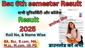 Bsc 6th semester Result 2025: