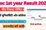 Bsc 1st year Result 2025