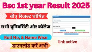 Bsc 1st year Result 2025