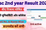 Bsc 2nd year Result 2025