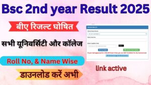 Bsc 2nd year Result 2025