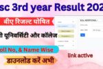 Bsc 3rd year Result 2025