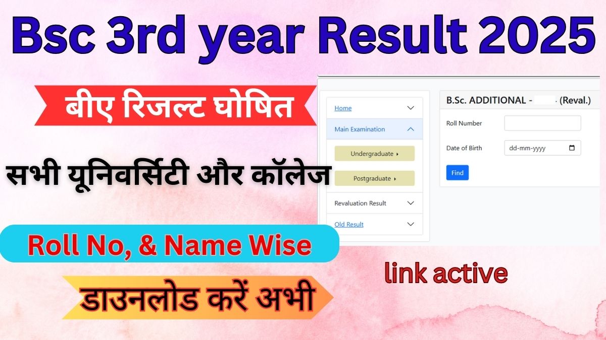 Bsc 3rd year Result 2025