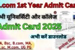 B.com 1st Year Admit Card 2026
