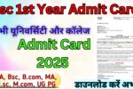 Bsc 1st Year Admit Card 2025