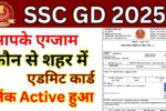 SSC GD Exam City 2025