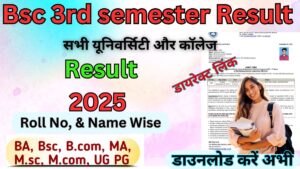 Bsc 3rd semester Result 2025