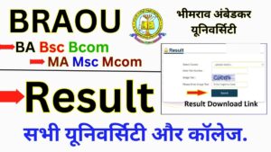 BRAOU Result 2025