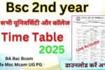 Bsc 2nd year Time Table 2025