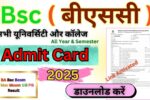 Bsc Admit Card 2025 Download